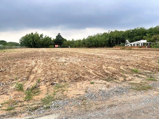 BÁN 6.000M² ĐẤT CÂY LÂU NĂM PHÚ THẠNH - NHƠN TRẠCH 