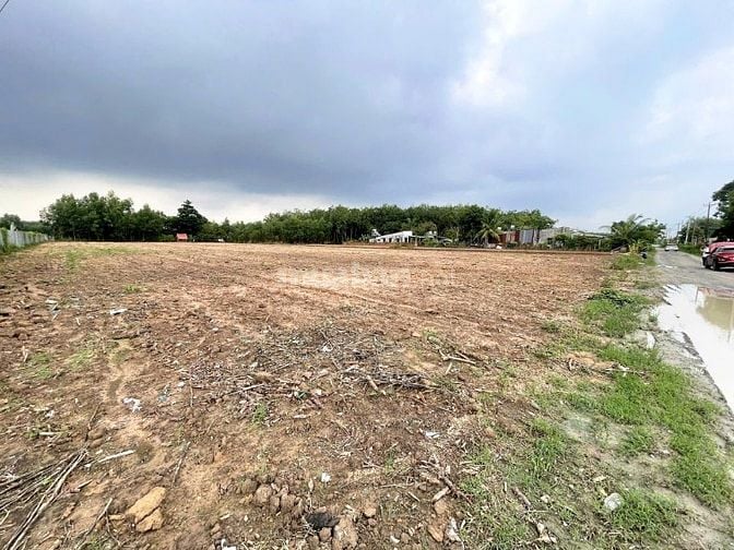 BÁN 6.000M² ĐẤT CÂY LÂU NĂM PHÚ THẠNH - NHƠN TRẠCH 
