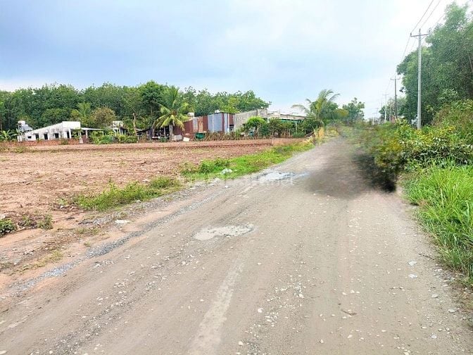 BÁN 6.000M² ĐẤT CÂY LÂU NĂM PHÚ THẠNH - NHƠN TRẠCH 