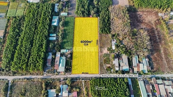 BÁN 6.000M² ĐẤT CÂY LÂU NĂM PHÚ THẠNH - NHƠN TRẠCH 