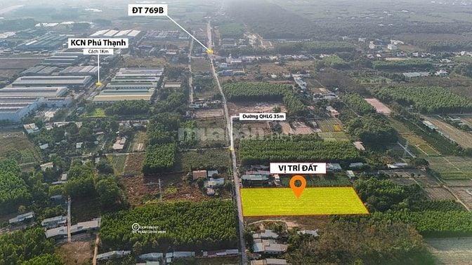 BÁN 6.000M² ĐẤT CÂY LÂU NĂM PHÚ THẠNH - NHƠN TRẠCH 