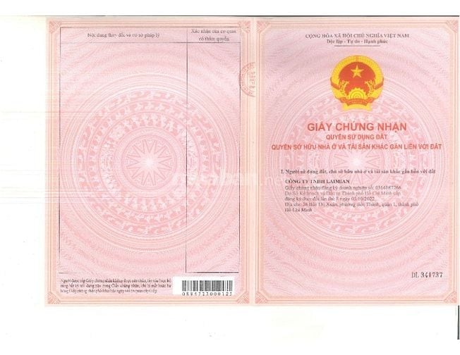 CÔNG TY ĐẤU GIÁ HỢP DANH SAO VIỆT ĐẤU GIÁ TÀI SẢN