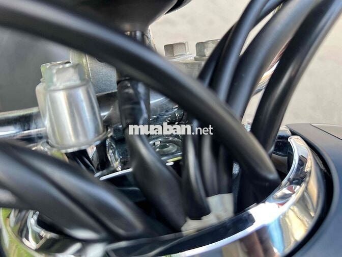 Honda Dunk 2023 Bản đặc biệt Xanh
