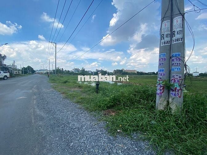 BÁN GẤP ĐẤT MẶT TIỀN KÊNH TIÊU T1 BÀ ĐIỂM HÓC MÔN