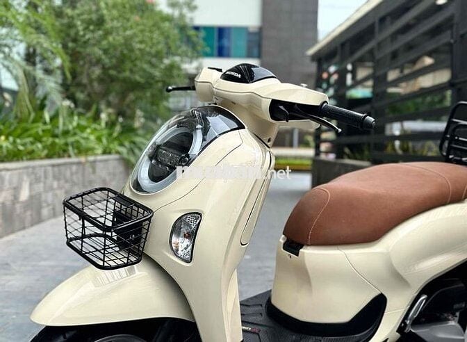 Honda Scoopy 110 2026