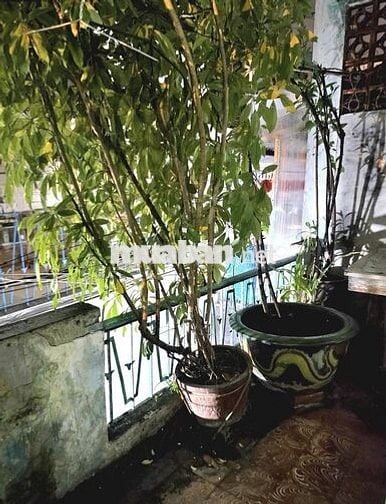 GIÁ 4 TỶ  l350  BÁN NHÀ ĐÚC HẺM XE HƠI HÀN HẢI NGUYÊN QUẬN 11