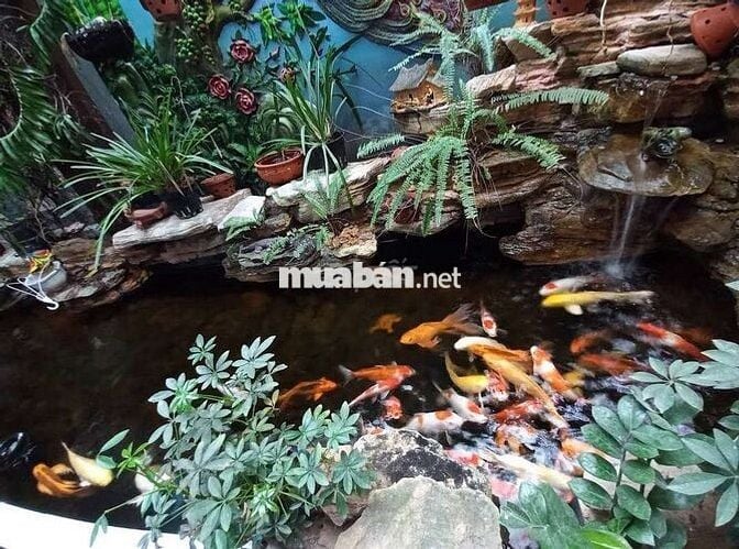 tuyển nhân viên quán cà phê