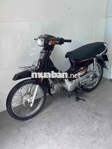 Honda Super Dream 204 Tím Việt Nam