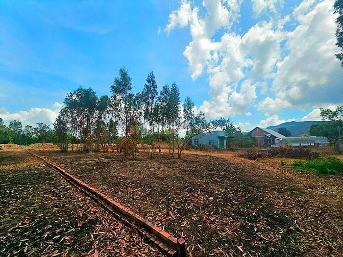 Công ty Đấu giá hợp danh Lam Sơn Sài Gòn thông báo đấu giá tài sản