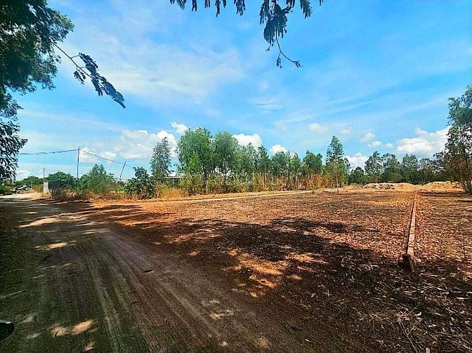 Công ty Đấu giá hợp danh Lam Sơn Sài Gòn thông báo đấu giá tài sản