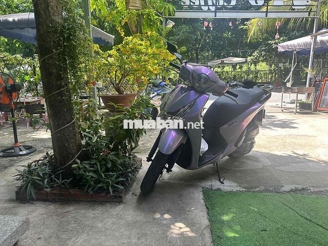 Honda SH 2013 Xám