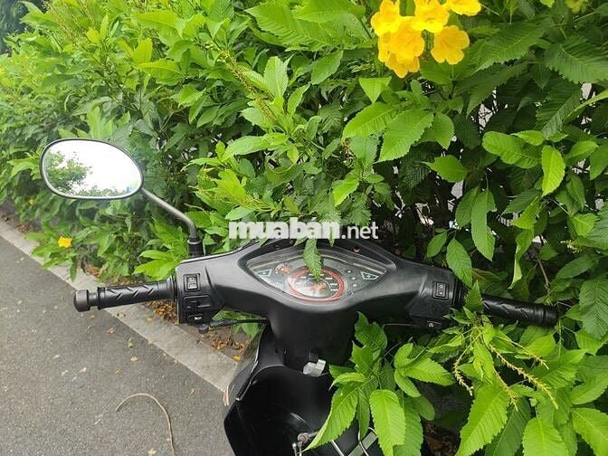 Wave A 2009 chưa rớt đầu nồi, ngay chủ, rin