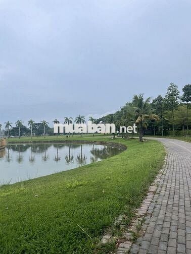 Căn Hộ 64m2 - Nam Long - Long An - Sổ Hồng Riêng - Nhỉnh 1 tỷ