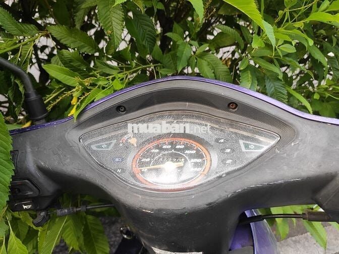 Honda Wave xương cá tím hoa cà chưa rớt đầu