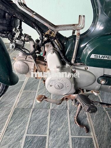 Honda Cub 81/50 có đề zin hàng cũng hiếm 🥰