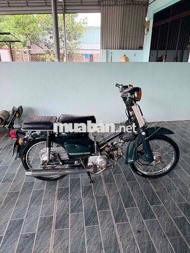 Honda Cub 81/50 có đề zin hàng cũng hiếm 🥰