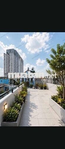 🏡 NHÀ LẠC LONG QUÂN – KẾT CẤU 5 TẦNG – HẺM XE HƠI CHỈ NHỈNH 6TY
