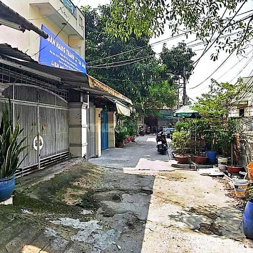 Công ty Đấu giá hợp danh Lam Sơn Sài Gòn thông báo tài sản
