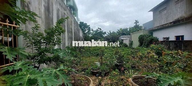 Chính chủ, Đất 340m2 nở hậu - Hẻm ô tô - Nghĩa Lộ - Quảng Ngãi