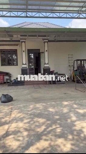 Đất nghỉ dưỡng 1041m2 cảnh sông có cầu tàu tặng cano