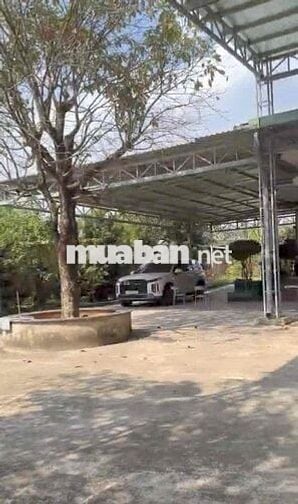 Đất nghỉ dưỡng 1041m2 cảnh sông có cầu tàu tặng cano