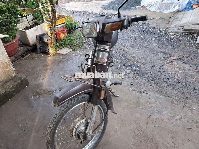 Honda Dream Tàu Nâu Số sàn