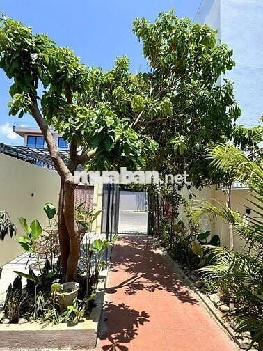 NHÀ CẤP 4 SÂN VƯỜN KHU ĐÔ THỊ MỸ GIA GIÁ 16 TRIỆU/THÁNG