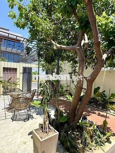 NHÀ CẤP 4 SÂN VƯỜN KHU ĐÔ THỊ MỸ GIA GIÁ 16 TRIỆU/THÁNG