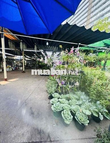 cho thuê mặt bằng Mt Nguyễn Văn Linh 330m giá 35 tr