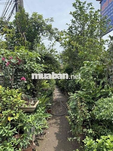 CHÍNH CHỦ- ĐẤT 140m2 MẶT ĐƯỜNG BIÊN GIANG