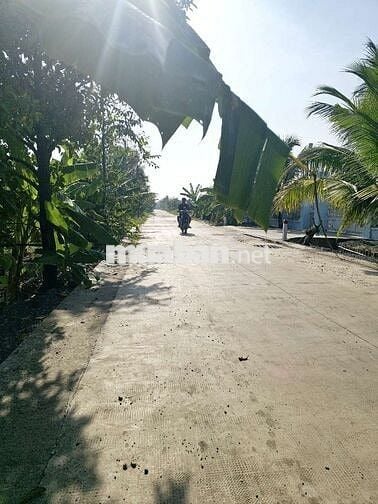 Đất Cây Lâu Năm Bình Mỹ Củ Chi 500m2 Mặt Tiền Đường 174 Giá 2.4 Tỷ