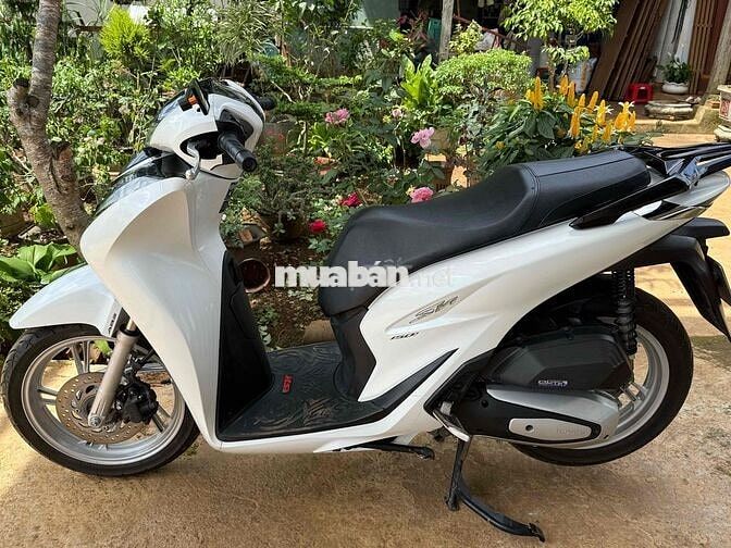 Honda SH 150 ABS Trắng Zin êm