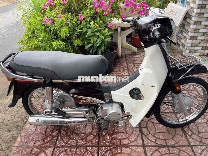 Honda Super Dream 2013 Nâu, Trắng Đã sử dụng