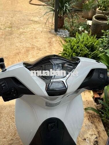 Honda SH 150 ABS Trắng Zin êm