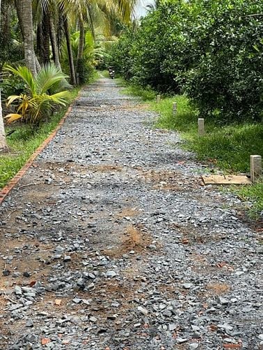 Bán Đất Long Hưng, Đồng Tháp. 4,55m x 27,10m=1124m, đường ôtô, 330Tr