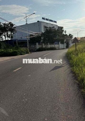 Đất đẹp mặt đường 303 xã An Trường