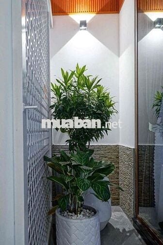 CHO THUÊ NHÀ 3 TẦNG TRUNG TÂM LÊ ĐÌNH DƯƠNG, HẢI CHÂU – CÓ MÁY CHI