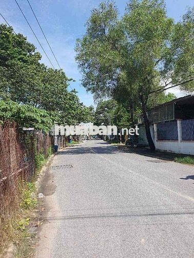 🔥 ĐẤT ĐẦU TƯ GIÁ RẺ TẠI DĨ AN – 2 MẶT TIỀN TƯƠNG LAI – GIÁ CHỈ 1,95 TỶ
