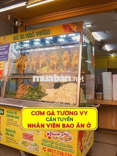 🐥Tuyển bạn Nam/Nữ/LGPT 🔥Bao ăn, Chỗ ở🔥