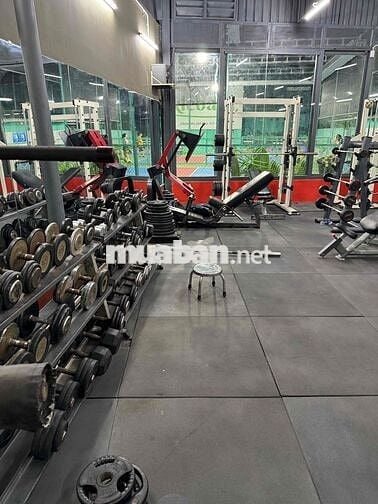 Cần 1 nhân viên quản lý phòng gym