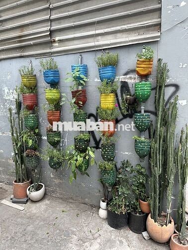 FEB CAFE TUYỂN NHÂN VIÊN PHA CHẾ BÌNH THẠNH