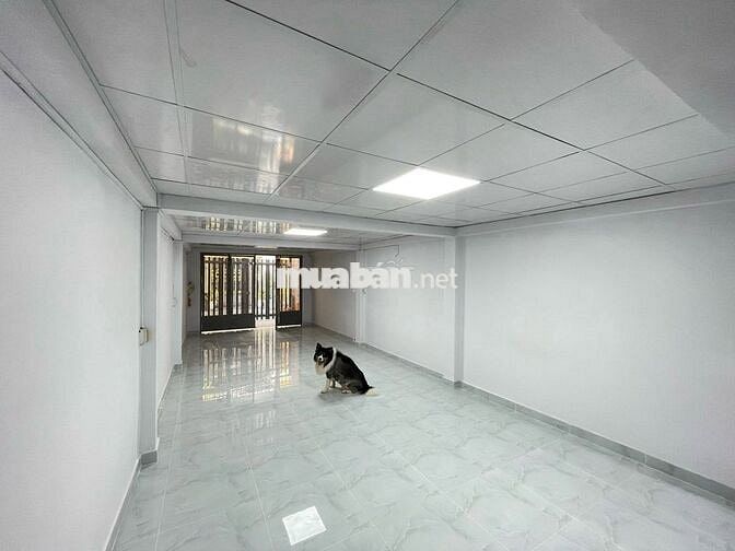 Nhà Nguyên Căn Đường Nguyễn Văn Luông - 2PN 2WC- 4x20m