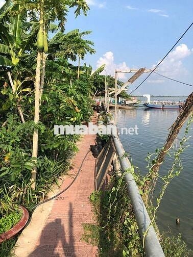 Cho thuê mặt bằng nhà ở, kinh doanh ngay bờ sông
