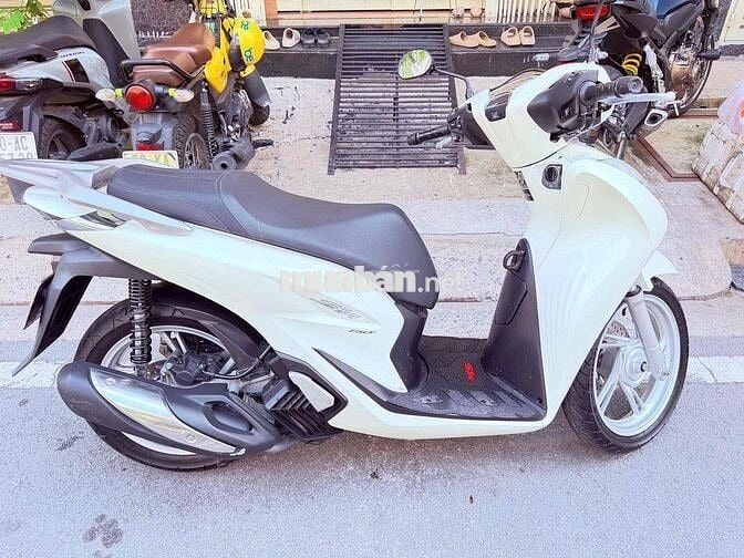 Honda SH 2022 Trắng