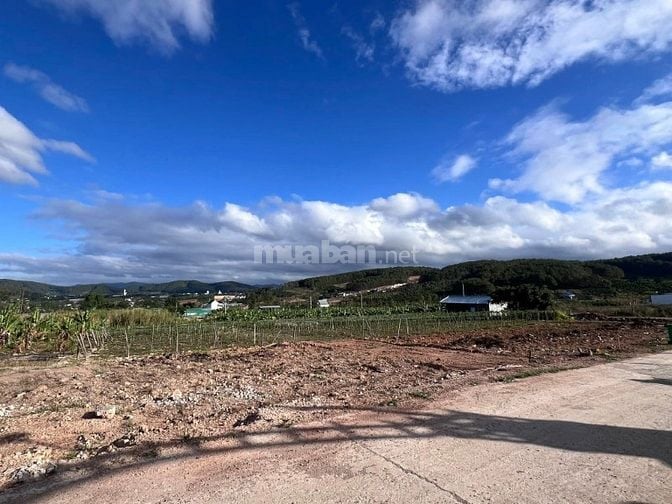 Bán Đất Nền An Sơn Villas 239m² Thổ Cư 150m² – Cơ Hội Đầu Tư Giá Tốt T