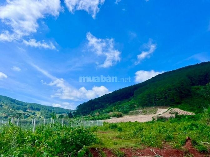 Bán Đất Nền An Sơn Villas 239m² Thổ Cư 150m² – Cơ Hội Đầu Tư Giá Tốt T