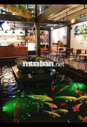 Bán đất 2mt 15x20m tặng luôn quán cafe 1000m xay dựng hết 7 tỷ.