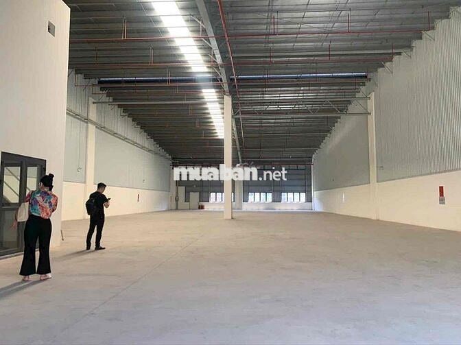 𝗫𝗨̛𝗢̛̉𝗡𝗚 𝐁𝐈̀𝐍𝐇 𝐂𝐇𝐀́𝐍𝐇 (kcn lê minh xuân 3), Cont 24/24, nền eroxy
