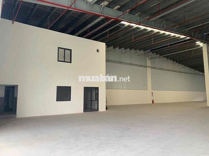 𝗫𝗨̛𝗢̛̉𝗡𝗚 𝐁𝐈̀𝐍𝐇 𝐂𝐇𝐀́𝐍𝐇 (kcn lê minh xuân 3), Cont 24/24, nền eroxy