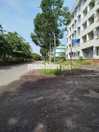 cho thuê căn góc chung Cư Vĩnh lộc B, căn góc Đs8B-Đs5, dt 55m2, 4,3tr